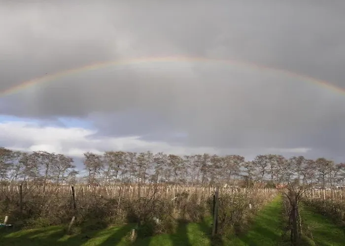 In Zuytland Buiten With Fishing Platform * Simonshaven