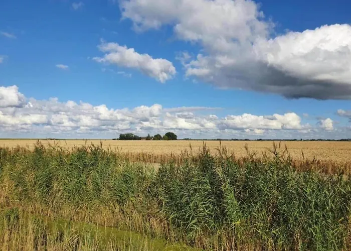 In Zuytland Buiten With Fishing Platform *