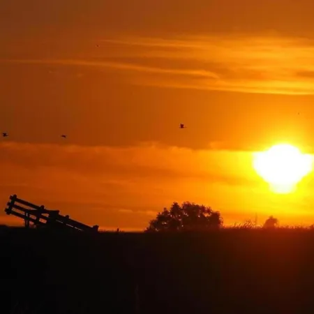 In Zuytland Buiten With Fishing Platform 別荘 *