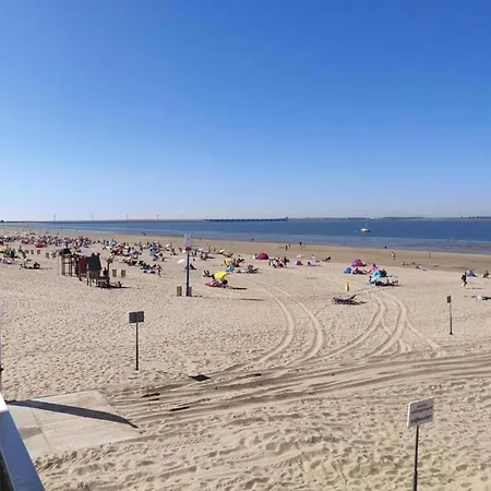 In Zuytland Buiten With Fishing Platform *