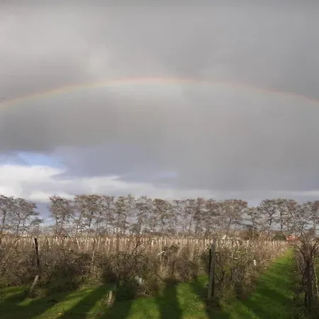 In Zuytland Buiten With Fishing Platform * Simonshaven
