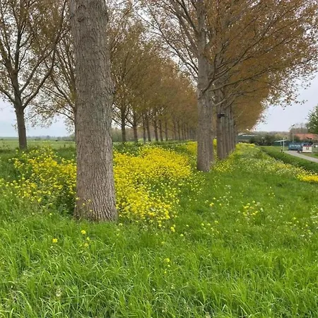 In Zuytland Buiten With Fishing Platform *