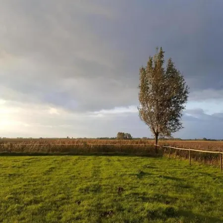 In Zuytland Buiten With Fishing Platform 別荘 *