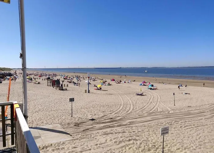 In Zuytland Buiten With Fishing Platform *