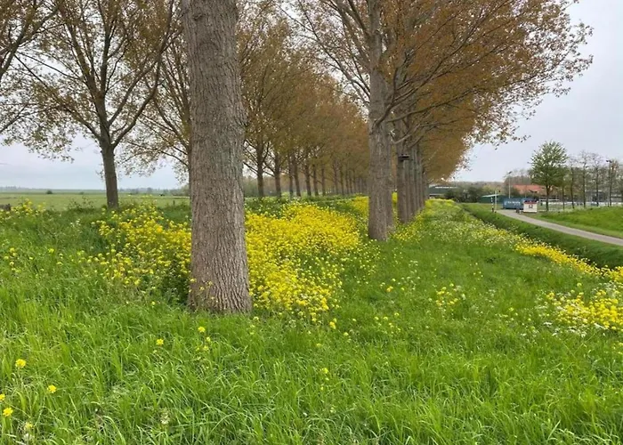 In Zuytland Buiten With Fishing Platform *